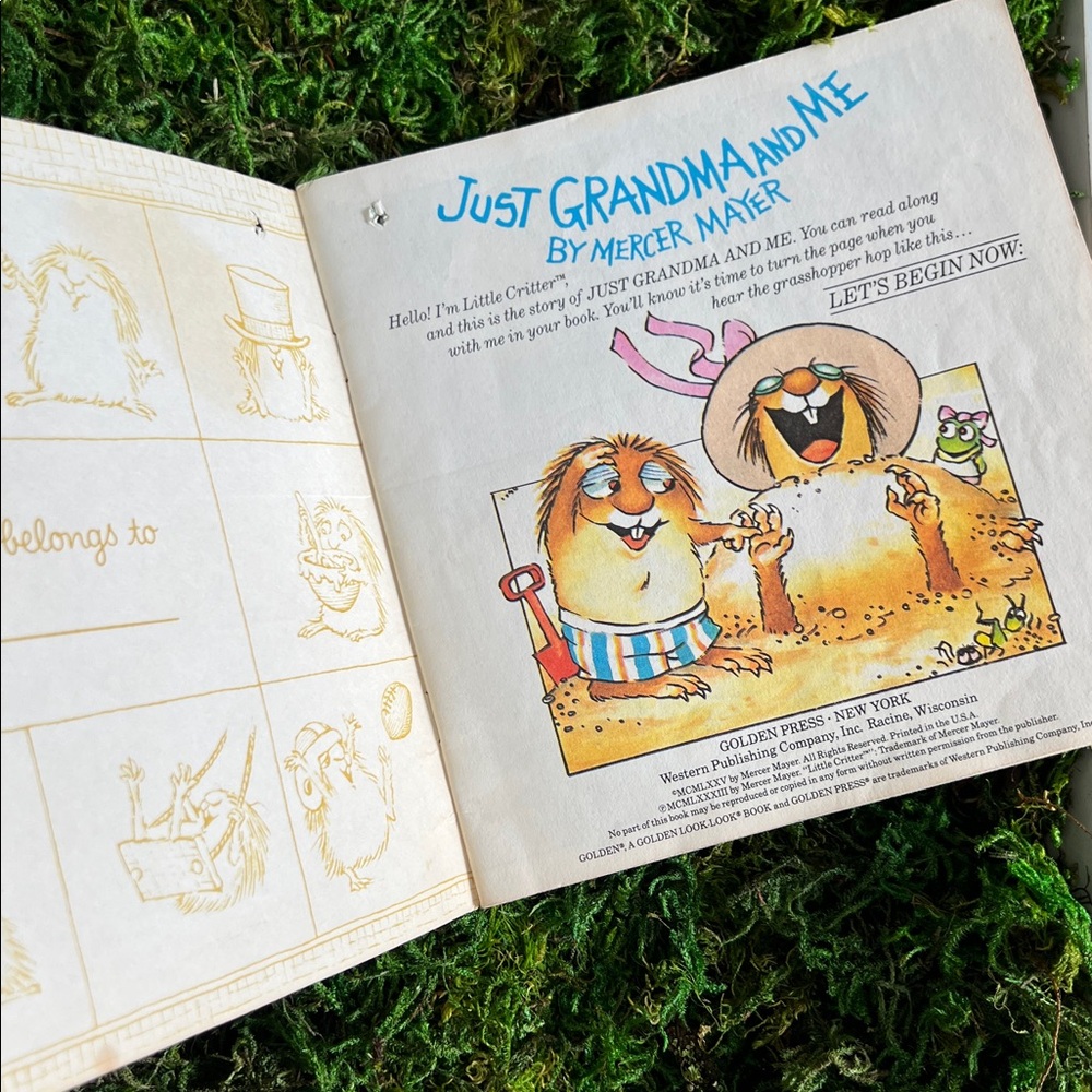 VINTAGE LittleCritters Grandma & Me book & record set See Hear Read-along 1970’s - Picture 10 of 17